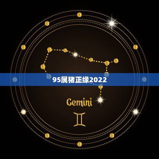 95属猪正缘2022，1980年属猴男2022 运势