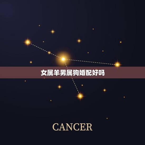女属羊男属狗婚配好吗，属羊女和属狗男的结合好不好