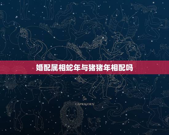 婚配属相蛇年与猪猪年相配吗,属蛇与属猪的可以婚配吗? 婚配属相蛇年与猪猪年相配吗,属蛇与属猪的可以婚配吗?