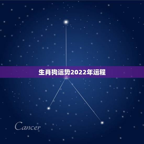 生肖狗运势2022年运程，属狗人2022年全年运势如何？