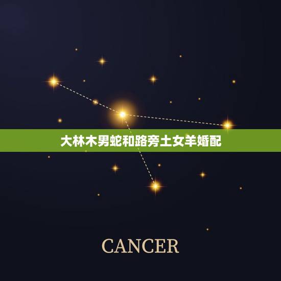大林木男蛇和路旁土女羊婚配,属羊女和属蛇男 配吗 大林木男蛇和路旁土女羊婚配,属羊女和属蛇男 配吗