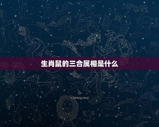 生肖鼠的三合属相是什么，72年属鼠48岁有一灾2022