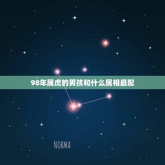 98年属虎的男孩和什么属相最配，属虎的和什么属相最配
