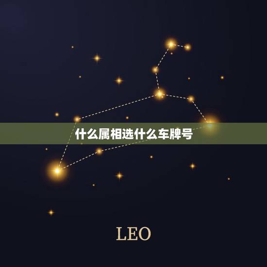 什么属相选什么车牌号,属鸡选什么车牌号码好 什么属相选什么车牌号,属鸡选什么车牌号码好