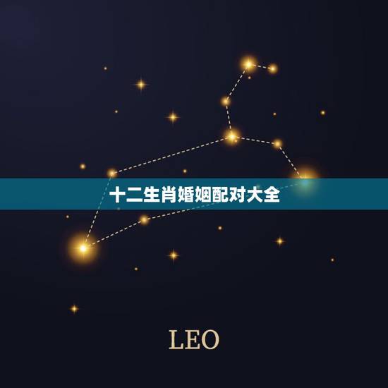 十二生肖婚姻配对大全，十二生肖婚姻配对最好呢？