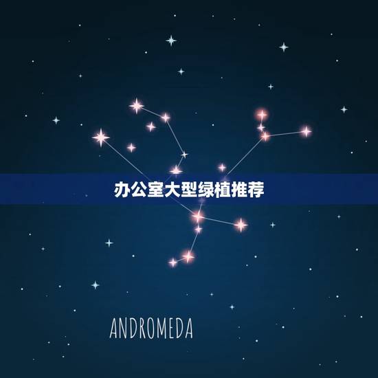办公室大型绿植推荐,办公室适合摆放什么大型植物 办公室大型绿植推荐,办公室适合摆放什么大型植物