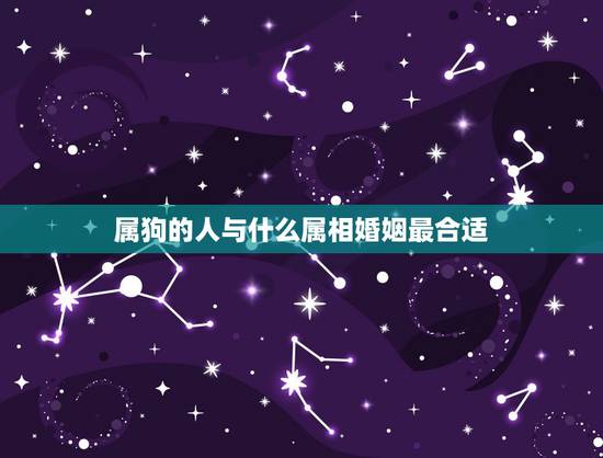 属狗的人与什么属相婚姻最合适,属狗和什么属相最配 属狗的属相婚配表大全 属狗的人与什么属相婚姻最合适,属狗和什么属相最配 属狗的属相婚配表大全