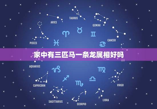 家中有三匹马一条龙属相好吗,家里有三个属马的人好吗 家中有三匹马一条龙属相好吗,家里有三个属马的人好吗