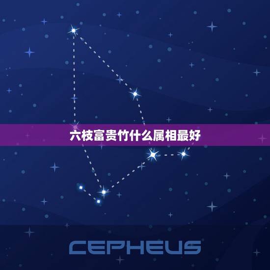 六枝富贵竹什么属相最好，属相适合养什么植物好？