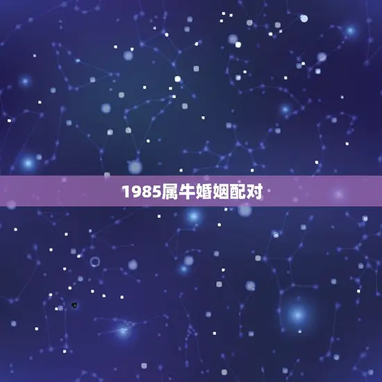 1985属牛婚姻配对