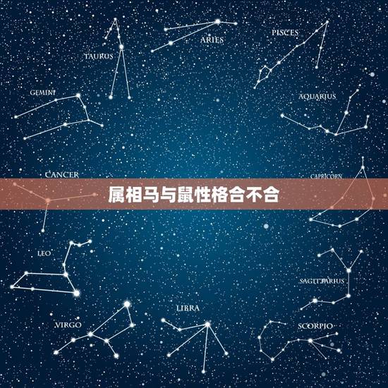 属相马与鼠性格合不合,马跟鼠的属相合不合 属相马与鼠性格合不合,马跟鼠的属相合不合