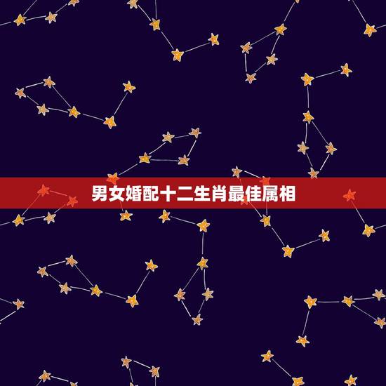 男女婚配十二生肖最佳属相,属相婚配 男女婚配十二生肖最佳属相,属相婚配
