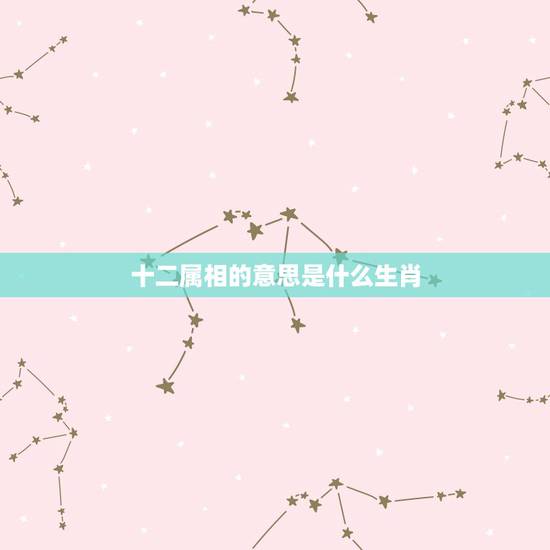 十二属相的意思是什么生肖,十二生肖的合肖是什么意思 十二属相的意思是什么生肖,十二生肖的合肖是什么意思