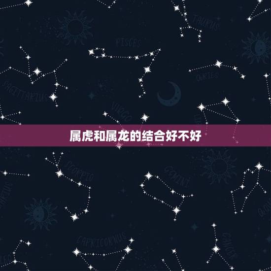 属虎和属龙的结合好不好，属龙跟属虎两兄妹合不合