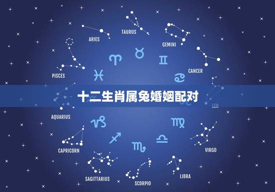 十二生肖属兔婚姻配对,属兔婚配属相表大全 十二生肖属兔婚姻配对,属兔婚配属相表大全