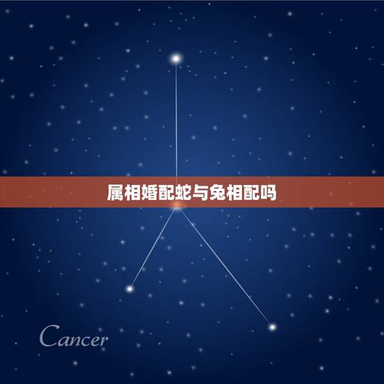 属相婚配蛇与兔相配吗，属蛇和属兔的相配吗