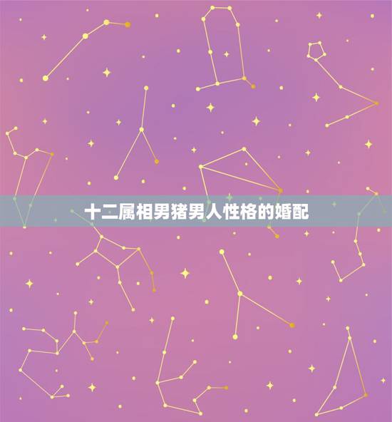 十二属相男猪男人性格的婚配,属猪的男人和什么属相最配 十二属相男猪男人性格的婚配,属猪的男人和什么属相最配