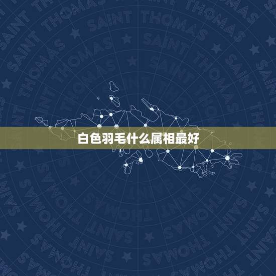白色羽毛什么属相最好，白色的羽毛代表什么？