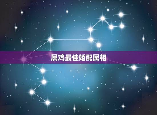 属鸡最佳婚配属相,属鸡的和什么属相最配 属鸡最佳婚配属相,属鸡的和什么属相最配