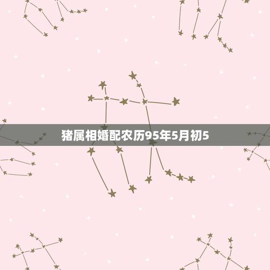 猪属相婚配农历95年5月初5,95年猪女婚配属相最配 猪属相婚配农历95年5月初5,95年猪女婚配属相最配