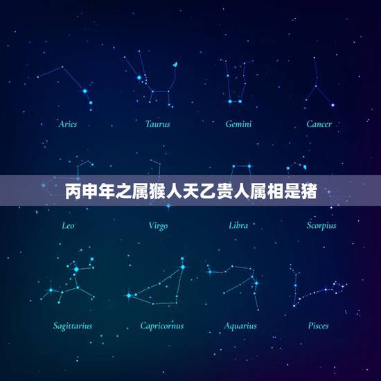 丙申年之属猴人天乙贵人属相是猪,属猴和什么属相犯冲 丙申年之属猴人天乙贵人属相是猪,属猴和什么属相犯冲