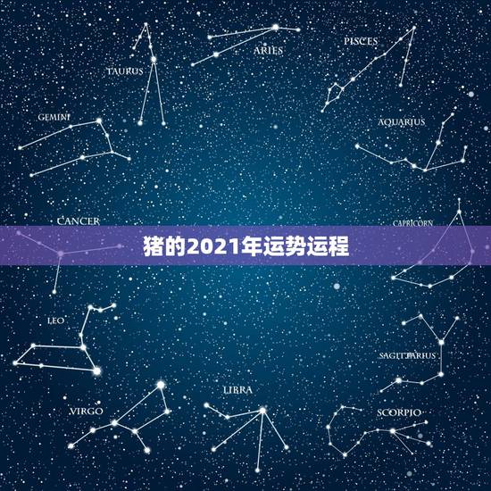 猪的2021年运势运程，猪人2021年运势运程