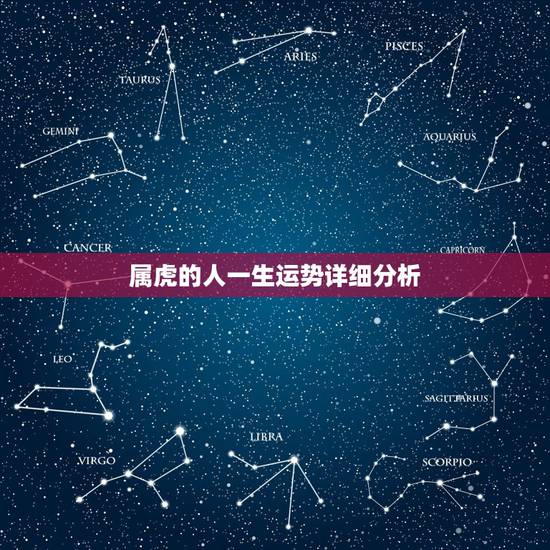 属虎的人一生运势详细分析,属虎一生运势 属虎的人一生运势详细分析,属虎一生运势