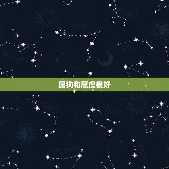 属狗和属虎很好,属狗的和属虎的能搞好关系吗? 属狗和属虎很好,属狗的和属虎的能搞好关系吗?
