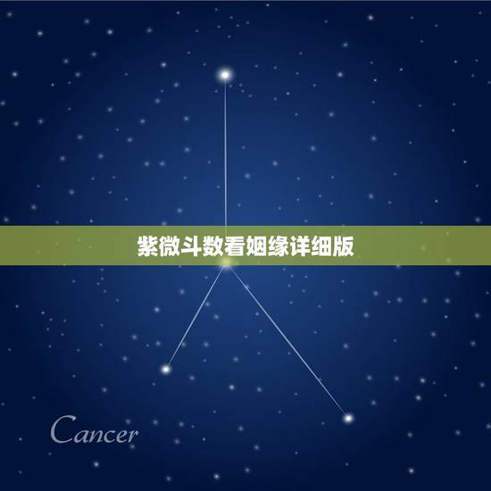 紫微斗数看姻缘详细版,弄了个紫微斗数,可是看不懂,请问姻缘怎么看,怎么 紫微斗数看姻缘详细版,弄了个紫微斗数,可是看不懂,请问姻缘怎么看,怎么