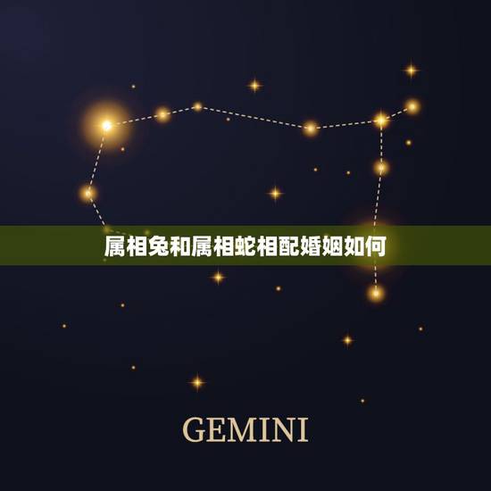 属相兔和属相蛇相配婚姻如何，生肖兔和生肖蛇合作好不好
