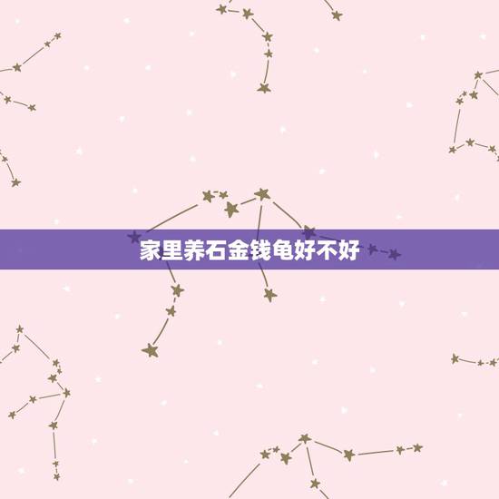家里养石金钱龟好不好,家中养石金钱龟注意事项 家里养石金钱龟好不好,家中养石金钱龟注意事项