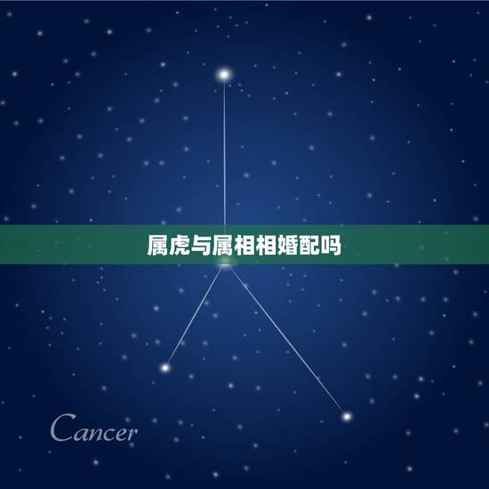 属虎与属相相婚配吗，属虎和属羊能婚配吗