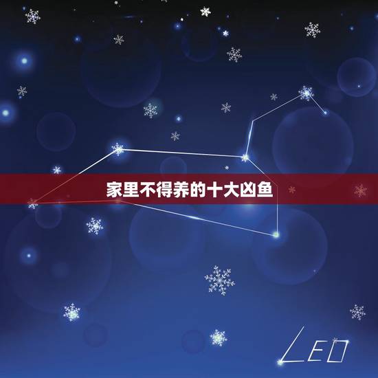 家里不得养的十大凶鱼，观赏鱼 家养鱼 比较凶猛的鱼有什么