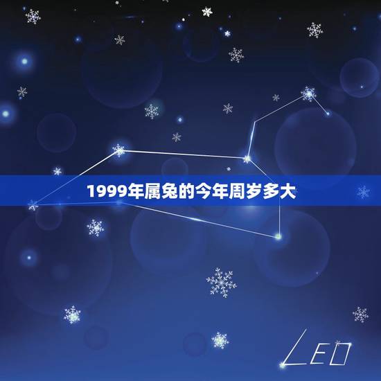 1999年属兔的今年周岁多大，1999年出生的今年虚岁多大了，属什么的