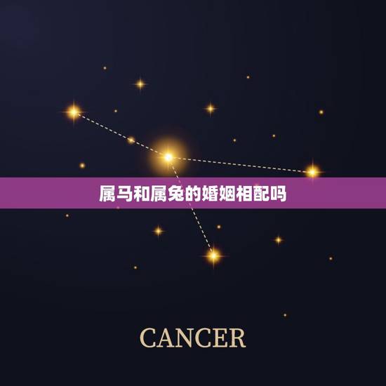 属马和属兔的婚姻相配吗,1987年属兔2022 年运势 属马和属兔的婚姻相配吗,1987年属兔2022 年运势
