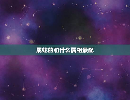 属蛇的和什么属相最配，属蛇的和什么属相不可以一起做生意