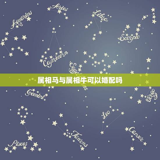 属相马与属相牛可以婚配吗,属相牛与马真不能婚配吗 属相马与属相牛可以婚配吗,属相牛与马真不能婚配吗