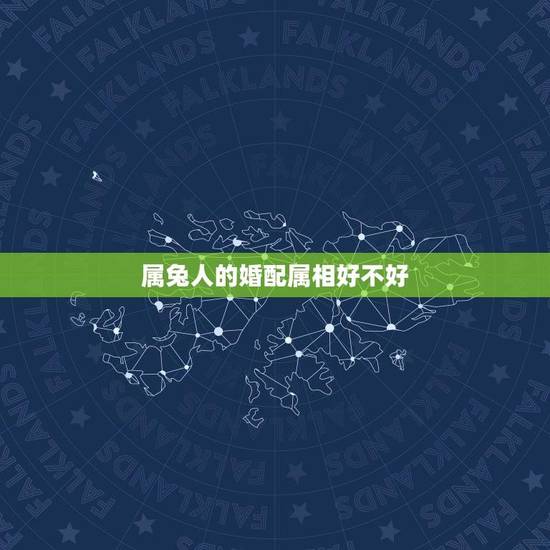 属兔人的婚配属相好不好(介绍属兔人的婚姻运势)