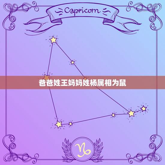 爸爸姓王妈妈姓杨属相为鼠，爸爸姓王妈妈姓杨求四个字的男孩名字