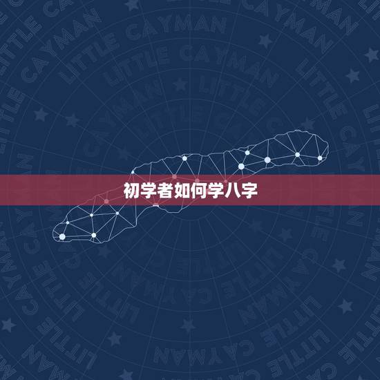 初学者如何学八字,问下八字如何学习及入门。 初学者如何学八字,问下八字如何学习及入门。
