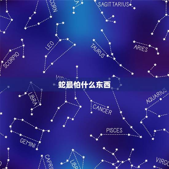 蛇最怕什么东西，蛇的之一大克星