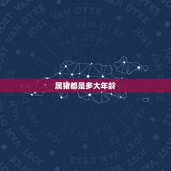 属猪都是多大年龄，属羊多大年龄