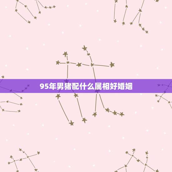 95年男猪配什么属相好婚姻,95年属猪最佳婚配属相 95年男猪配什么属相好婚姻,95年属猪最佳婚配属相