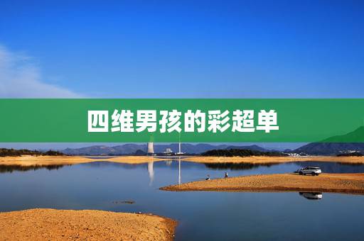 四维男孩的彩超单，怎么从四维检查单看出是男孩还是女孩