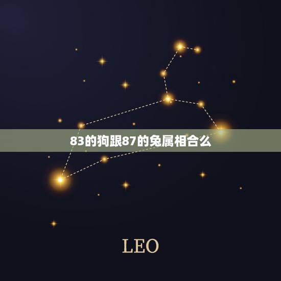 83的狗跟87的兔属相合么，82狗和87兔是否留合？