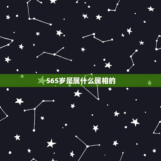 565岁是属什么属相的,56岁属什么生肖? 565岁是属什么属相的,56岁属什么生肖?