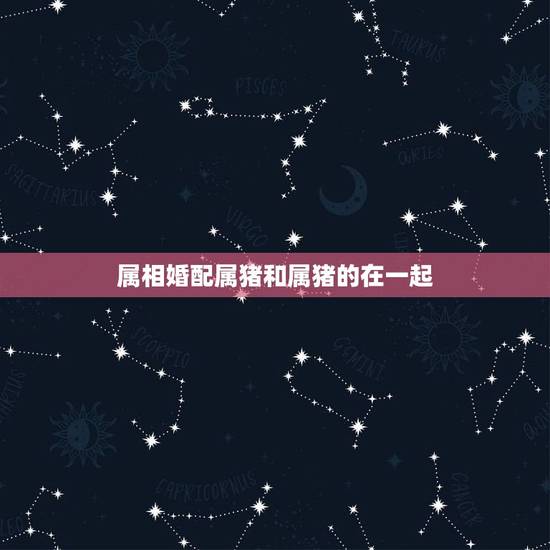 属相婚配属猪和属猪的在一起,93年属鸡最佳婚配表 属相婚配属猪和属猪的在一起,93年属鸡最佳婚配表