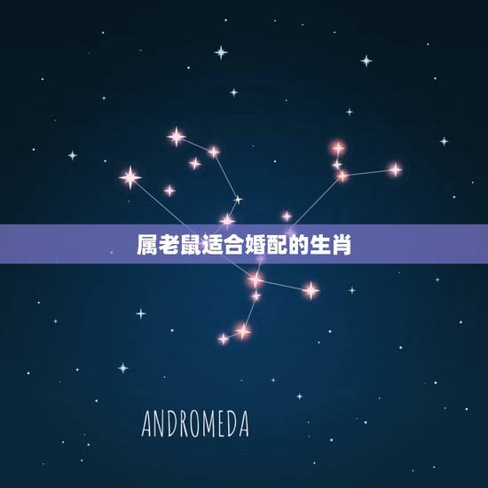 属老鼠适合婚配的生肖，属鼠男性适合的婚配属相