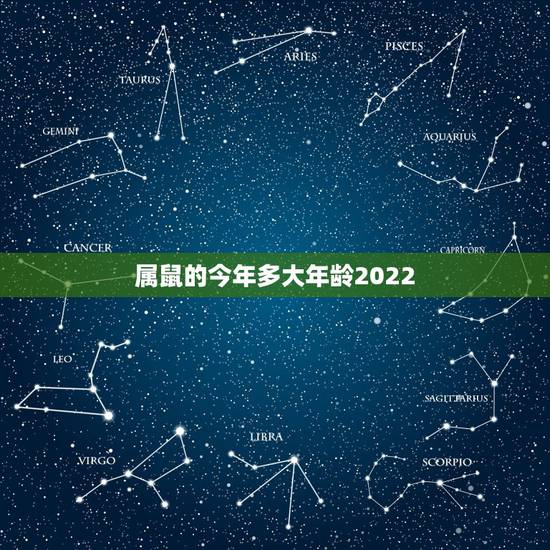 属鼠的今年多大年龄2022,十二生肖更佳婚配表 属鼠的今年多大年龄2022,十二生肖更佳婚配表