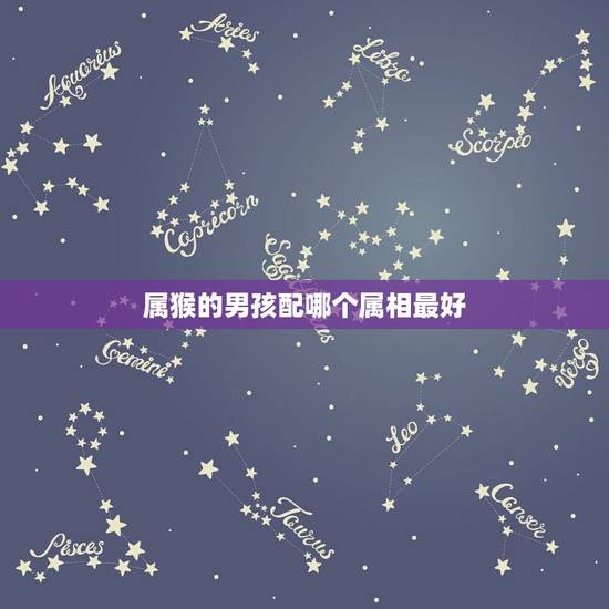属猴的男孩配哪个属相最好,属猴的男士婚配什么属相最好? 属猴的男孩配哪个属相最好,属猴的男士婚配什么属相最好?